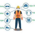 WhatsApp Image 2026-01-13 at 08.40.31